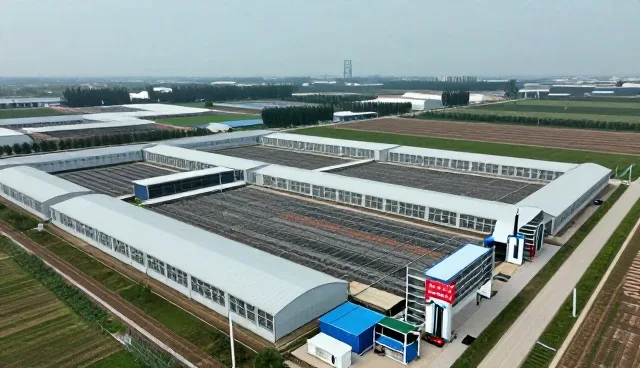 高效污水处理设备在农村地区的应用实践